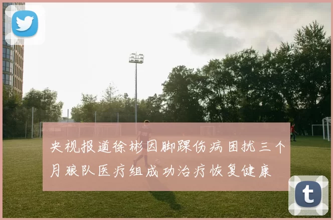 央视报道徐彬因脚踝伤病困扰三个月狼队医疗组成功治疗恢复健康