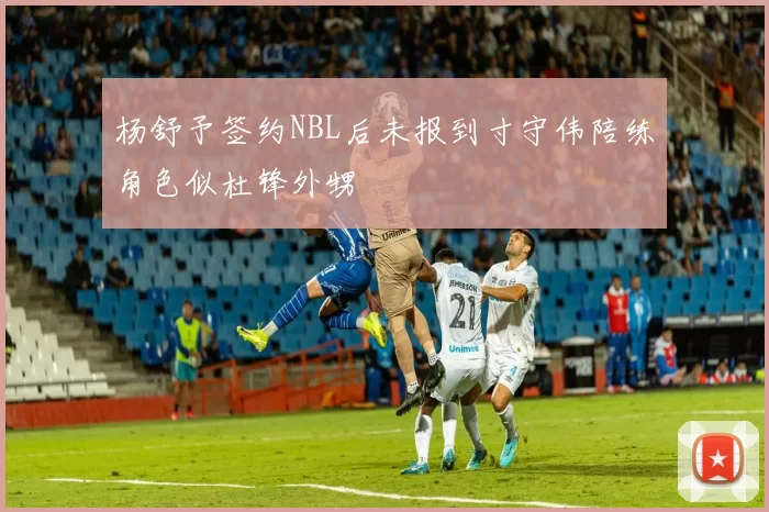 杨舒予签约NBL后未报到寸守伟陪练角色似杜锋外甥