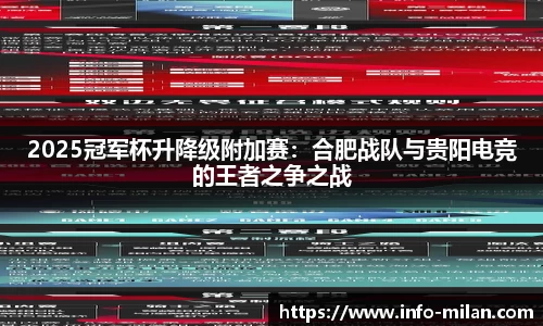 2025冠军杯升降级附加赛：合肥战队与贵阳电竞的王者之争之战